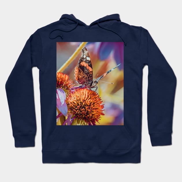 Lovely Monarch Butterfly Photograph Hoodie by love-fi